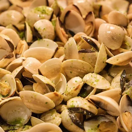 酒店 依思迪瓦埃尔多拉多度假酒店 坎布里尔斯